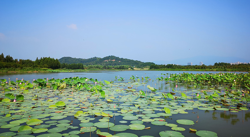 池州水环境PPP-南湖项目